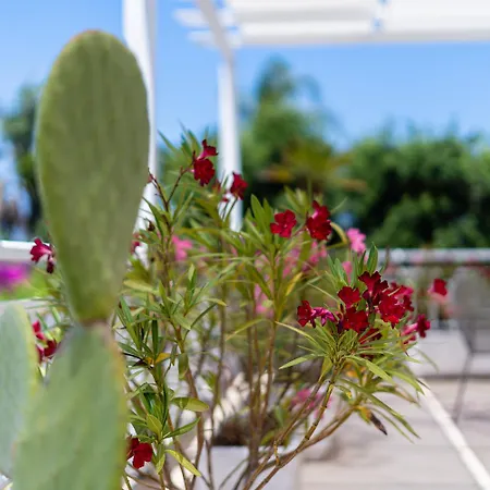 Hotel Le Dune Club