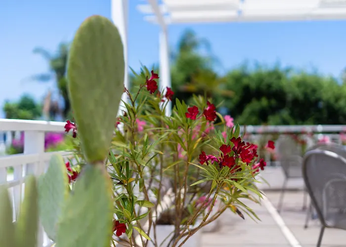 Hotel Le Dune Club